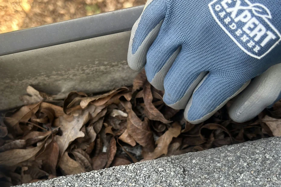 Gutter Cleaning Milton